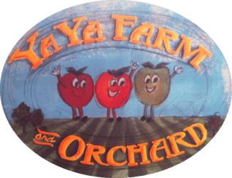 YAYA Farms Apple Orchard